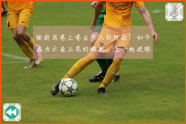 徐新离港上港后步入新阶段！如今成为云南玉昆的旗舰，上一轮进球。